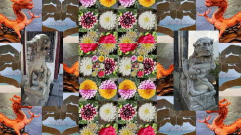 bloom11