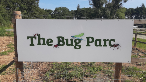 bug-parc1