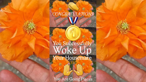 congratulations