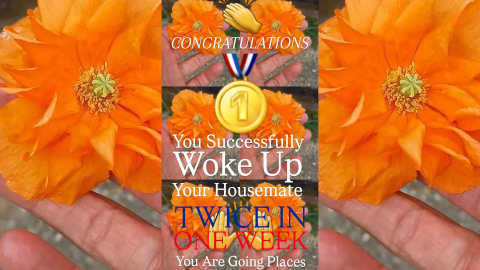 congratulations1