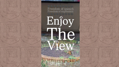 enjoy-the-view