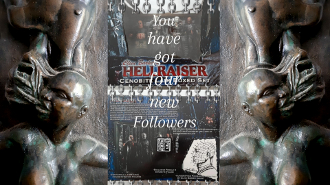 followers1