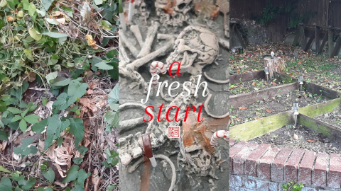fresh
