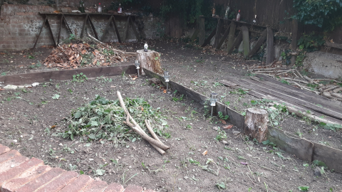 garden14