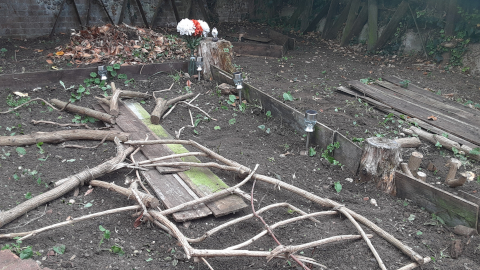 garden16