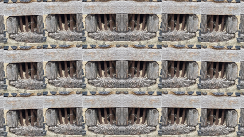 hmg1