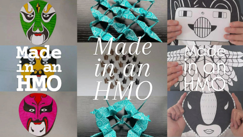 hmo6