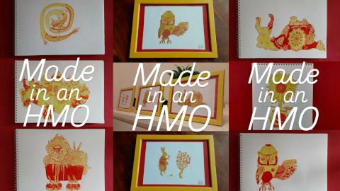 hmo8