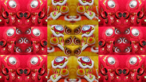 lion11