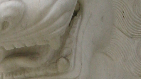 lion12