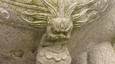 lion15