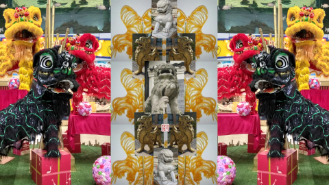 lion4