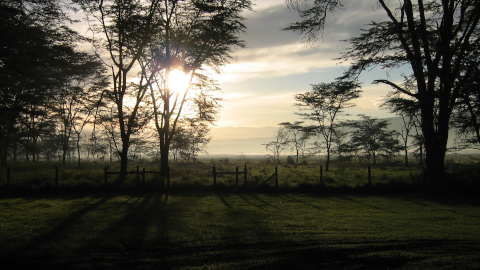 manyara1