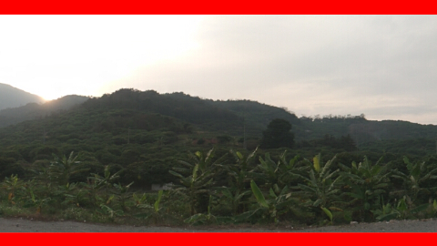 pano6