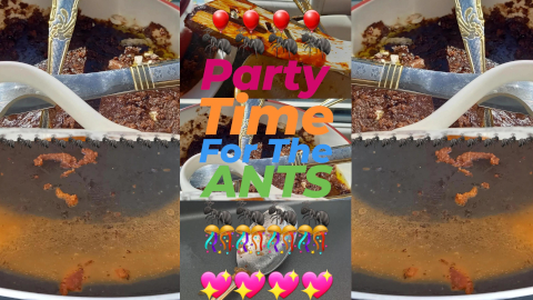 party-time