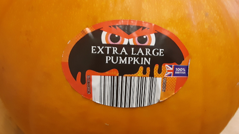 pumpkin2