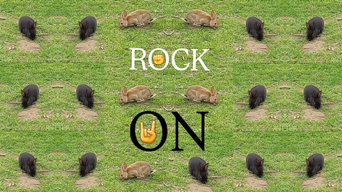 rock