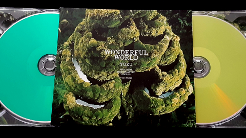 wonderful1